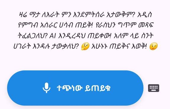 Addis AI App Example page -4