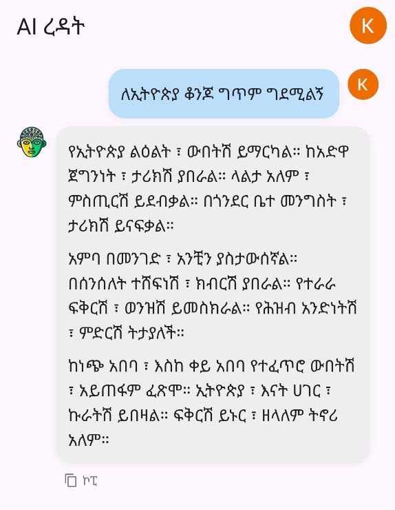 Addis AI App Example page -2