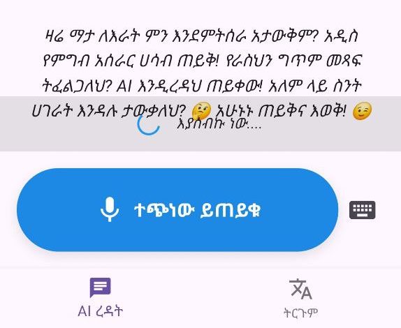 Addis AI App Example page -3