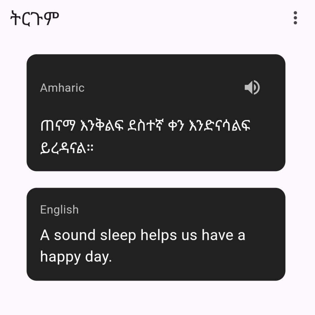 Addis AI translate page
